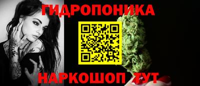 Альфа ПВП Кингисепп