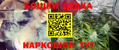 Альфа ПВП Кингисепп