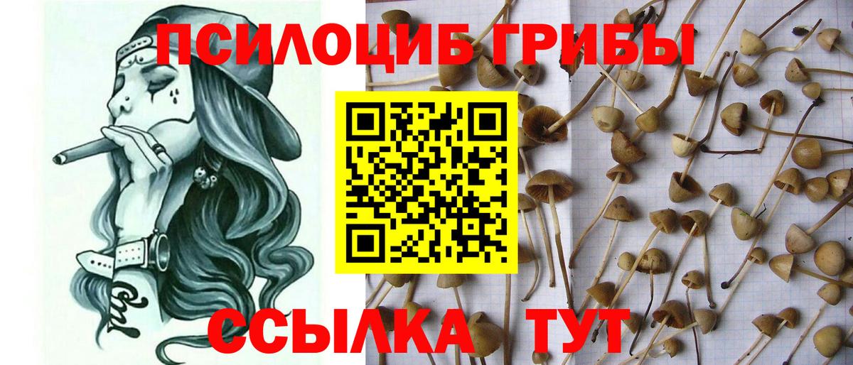 продажа наркотиков  Галлюциногенные грибы мухоморы  Вход с VPN  Костомукша 