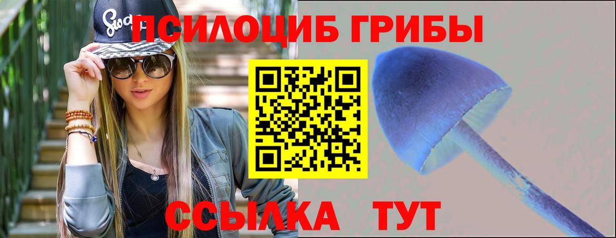 Галлюциногенные грибы мухоморы Костомукша